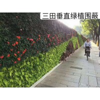 綠植圍擋為城市增添活力